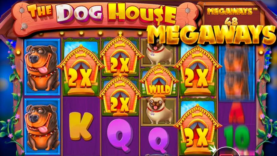 the dog house megaways gameplay romaniacasino